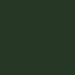 Verde Garrafa 6007-cor