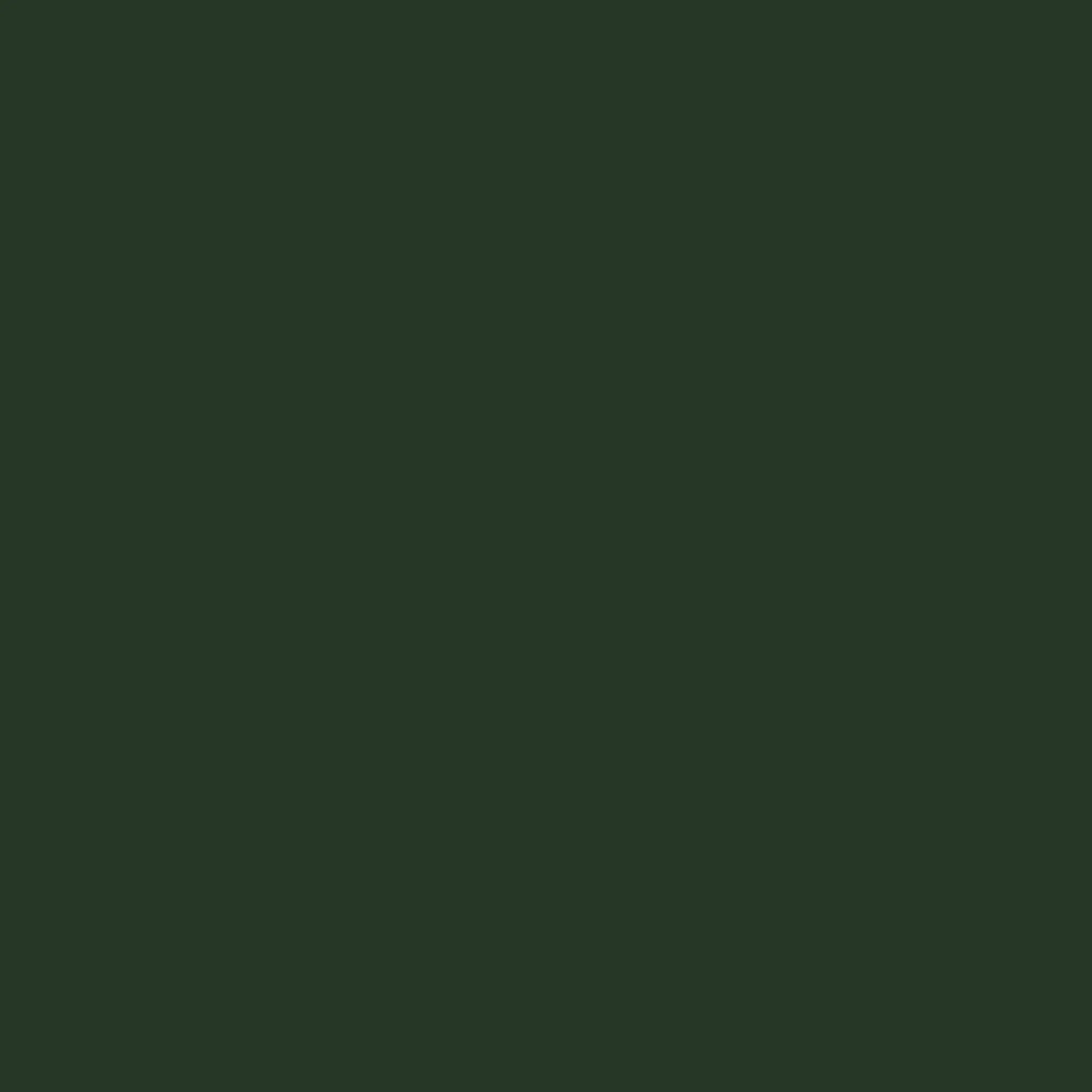 Verde Garrafa 6007