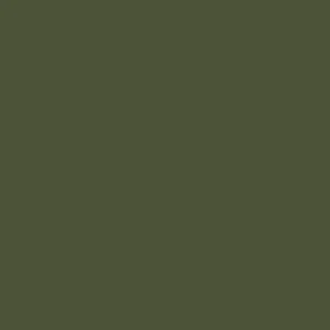 Verde Oliva 6003-cor