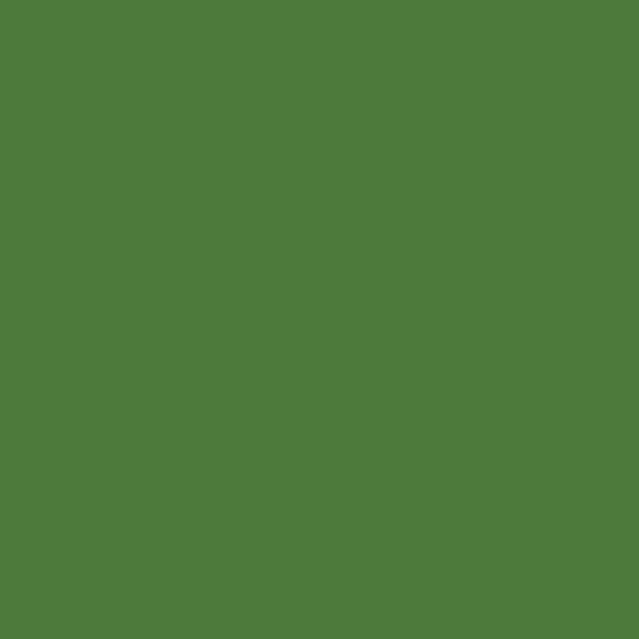 Verde Relva 6010